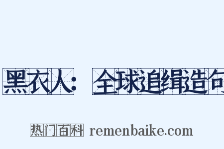 黑衣人：全球追缉造句是什么意思的图片